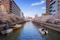 Travel Sakura flower Tour in Japan
