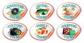 Travel stickers vector collection - nature turs, shopping tours, adventure tours, etc