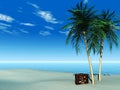 Travel suitcase on tropical beach.