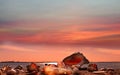 Travel summer holiday romantic pink sunset at sea beach sunlight reflection water wave seashell on sand rock on horizon Tallinn