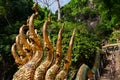 Travel Tailandia.TriÃÂ¡ngulo Golden-headed dragons ladder