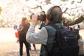 Travel taking a photo beautiful scenery of sakura tree