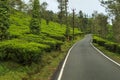 Travel through the tea estate in the hills