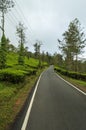 Travel through the tea estate in the hills