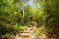 Travel Thailand - road in the woods in Khao Nang Panthurat Forest Park at Cha am. Royalty Free Stock Photo