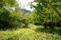 Travel Thailand - road in the woods in Khao Nang Panthurat Forest Park at Cha am. Royalty Free Stock Photo