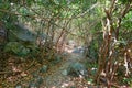 Travel Thailand - road in the woods in Khao Nang Phanthurat Forest Park at Cha am. Royalty Free Stock Photo