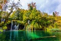 Travel to the fabulous country of karst Plitvice Lakes. Croatia. Many small waterfalls fall into the azure water. The concept of Royalty Free Stock Photo