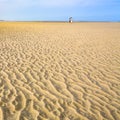 dune on yellow sand beach Le Touquet