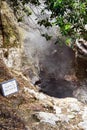 Travel to Furnas, San Miguel, Azores. Furnas is a valley of geysers and fumaroles, thermal baths, and mineral springs