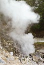 Travel to Furnas, San Miguel, Azores.F urnas is a valley of geysers and fumaroles, thermal baths, and mineral springs