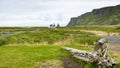 green seaside in Vik I Myrdal village in Iceland