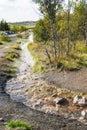 Warm water flow in Haukadalur hot spring valley