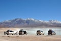 Bolivian lagunas in the andean mountain range