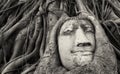 Travel to Thailand, Ayutthaya. Old tree Buddha stone sculpture. Royalty Free Stock Photo