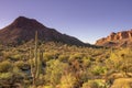 Travel tourism photo of Arizona scenic desert landscape,USA Royalty Free Stock Photo