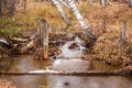 Travel and tourism in the Saratov region, the Sokolka river in a yellow golden autumn birch forest in the Novoburasky district of