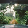 Travel in the tropical jungle. View from the car window of the forest, trees, vines, flowers, road