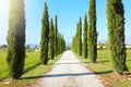 Travel in Tuscany. Beautiful and idyllic landscape of a lane of cypresses in the Tuscan countryside in Italy Royalty Free Stock Photo