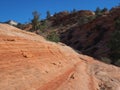 Travel in USA Zion National Parc