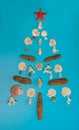 Christmas tree is made of pieces of wood washed up on the shore, shells, coral twigs and red starfish on a light blue background.