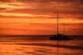 Travel yachting cruise. Sailboats at sunset. Ocean yacht sailing along water. Royalty Free Stock Photo