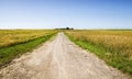 road along the field Royalty Free Stock Photo