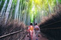 Traveler in Bamboo Forest Grove, Kyoto, Japan