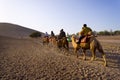 Traveler camels in desert Royalty Free Stock Photo