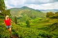 Terraced tea fields of Cameron Highlands in Malaysia Royalty Free Stock Photo