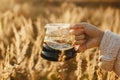 Traveler holding fresh hot coffee in glass flask on background of sunny warm light in rural herbs. Alternative coffee brewing