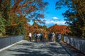 Traveler looking Mt.Fuji and colorful autumn leaf at Shiraito Falls in Fujinomiya, Shizuoka, Japan