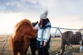 Traveler making friends with adorable Icelandic horses Royalty Free Stock Photo