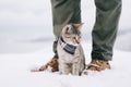 Traveler man with cute cat. Royalty Free Stock Photo