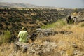 Traveler overlooking wadi