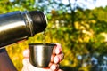 Traveler pouring hot tea from thermos to cup at autumn fallen forest outdoor Royalty Free Stock Photo