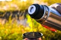 Traveler pouring hot tea from thermos to cup at autumn fallen forest outdoor Royalty Free Stock Photo