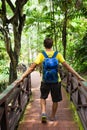 Traveler rear view backpack walk jungle green Royalty Free Stock Photo