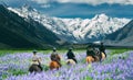 Traveler ride horse at Mt Cook, New Zealand.