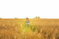 Traveler, romantic travel background, young man leaving home, guy with guitar walking at sunset field Royalty Free Stock Photo