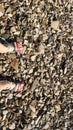 Traveler`s feet on a deserted stone coast Royalty Free Stock Photo