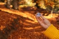 Traveler searching direction with compass in wilderness, closeup. Royalty Free Stock Photo