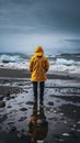 Traveler on the shores of Iceland