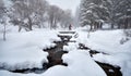 Traveler with snowshoes at snow forest in the mountains Royalty Free Stock Photo