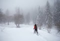 Traveler with snowshoes at snow forest in the mountains Royalty Free Stock Photo