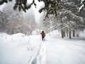 Traveler with snowshoes at snow forest in the mountains Royalty Free Stock Photo