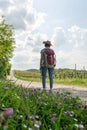 Traveler standing backward on a flower path looking into the distance with blue sky