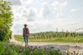 Traveler standing backward on a flower path looking into the distance with cloudy skies