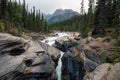 Traveler standing on rock in Mistaya Canyon and pine forest at Icefields Parkway