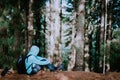 Traveler take a rest during hike in mysterious pine tree forest and endjoyed the silence. Santo Antao Island, Cape Verde